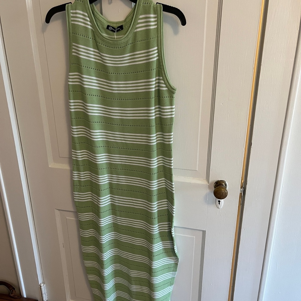 Pretty Garden Green Striped Sleeveless Dress NWT